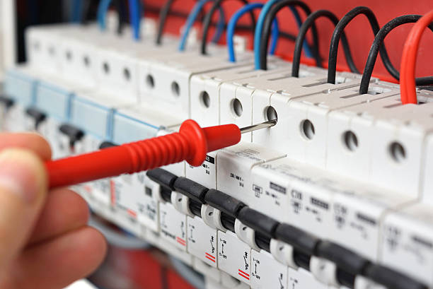 Best Electrical Panel Upgrades  in Wenona, IL